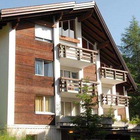 Charming And Cosy Apartment Mürren Εξωτερικό φωτογραφία