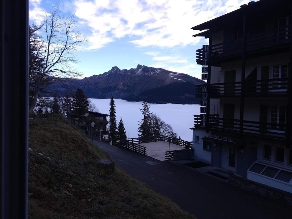 Charming And Cosy Apartment Mürren Εξωτερικό φωτογραφία