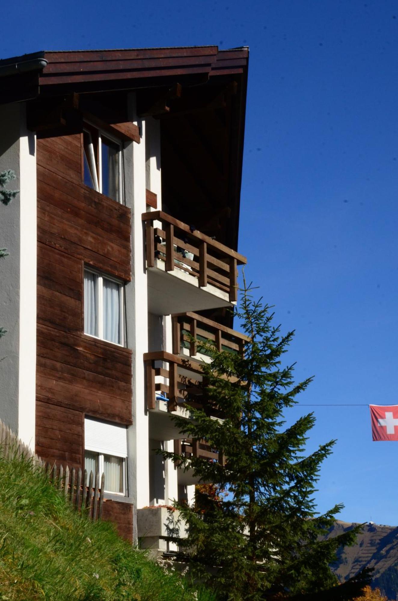 Charming And Cosy Apartment Mürren Εξωτερικό φωτογραφία